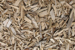 biomass boilers Priddy